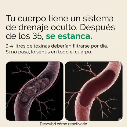 Tratamiento Drenaje Linfático Sculptique™