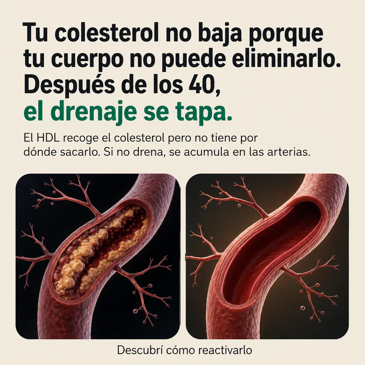 Tratamiento Cardiovascular | Sculptique™